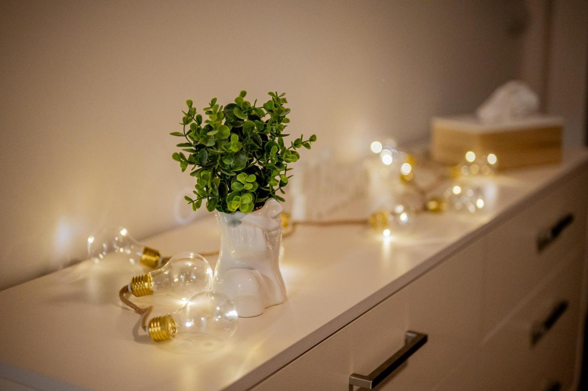 Old Town City Center Apartment 1 - Private Parking Included Кошице Экстерьер фото